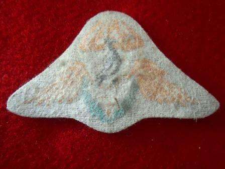 Ciskei Paratrooper Wing - Prototype