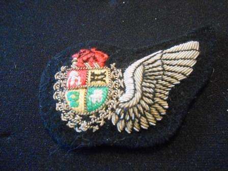 SAAF Bullion Wire Navigators Wing