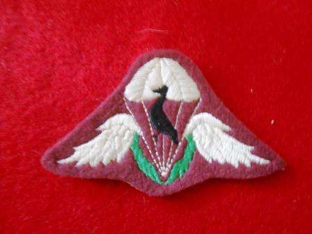 Ciskei Paratrooper Wing - Prototype