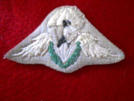 Ciskei Paratrooper Wing - Prototype