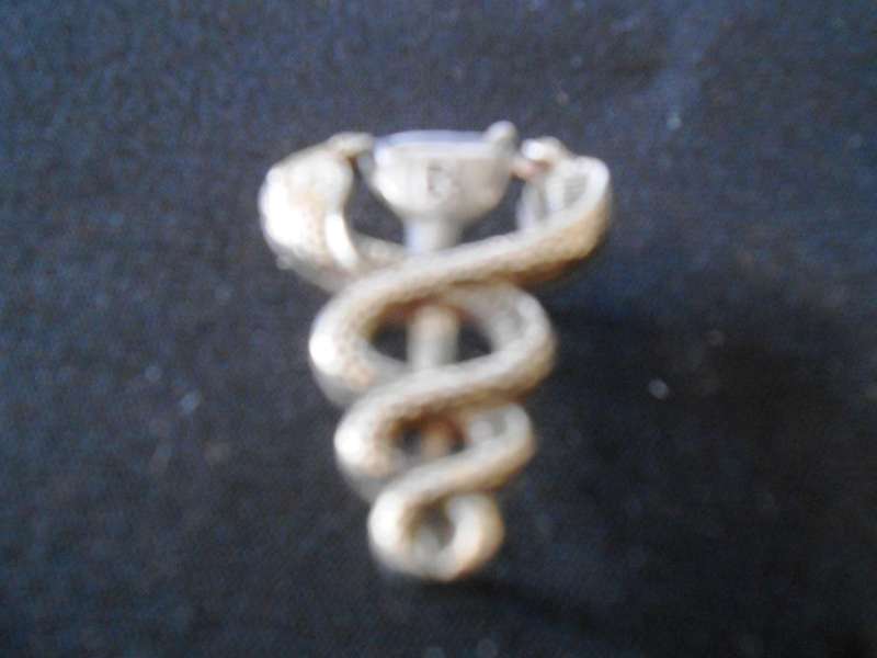 SADF Rare Pharmacy Breast Badge in Silver