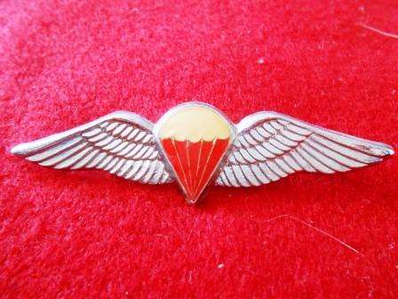SADF Paratrooper Free Fall Large Wing