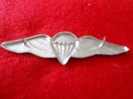 SADF Paratrooper Free Fall Large Wing