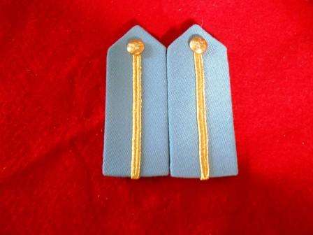 SAAF Officers Gorgets