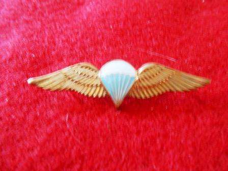 SADF Paratrooper Mess Dress Wing