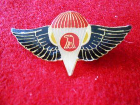Desert Storm Era Iraqi Paratrooper Wing