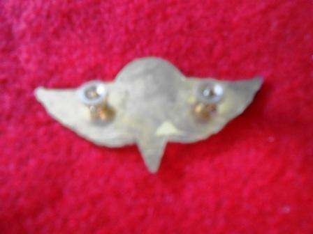 Desert Storm Era Iraqi Paratrooper Wing