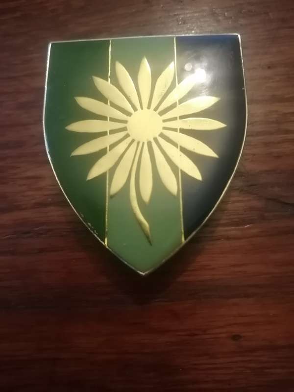 Northern Transvaal Command Shoulder Flash