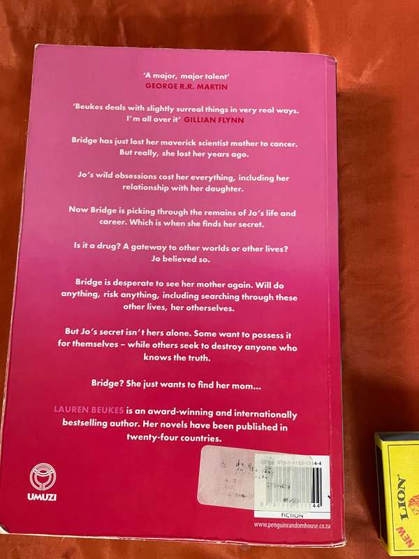 Bridge by Lauren Beukes