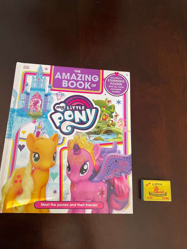 My little pony book