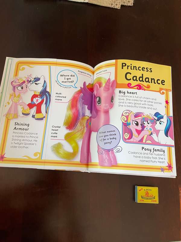 My little pony book