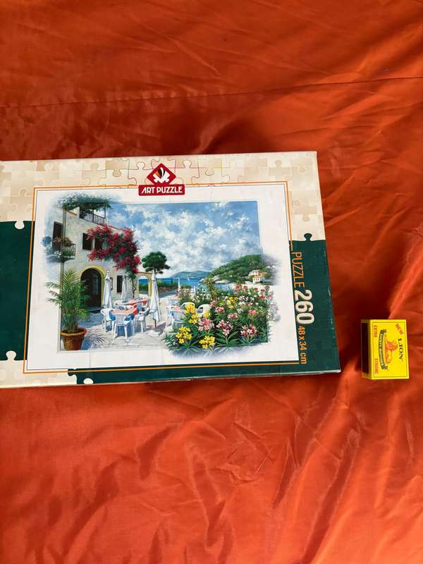 260 piece puzzle (may have pieces missing)