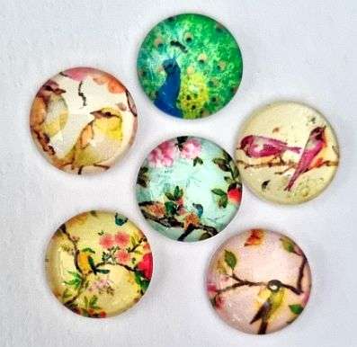 *Clearance Sale*DIY ***7Pc x 12mm Mixed /Vintage Style Birds / Round Glass Cabochon