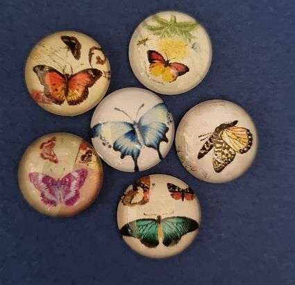*Clearance Sale* DIY ***7pc x 12mm Mixed / Vintage Style / Butterflies / Round Glass Cabochon