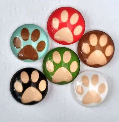 *Clearance Sale* DIY ***7Pc x 12mm Mixed / Paw / Round Glass Cabochon