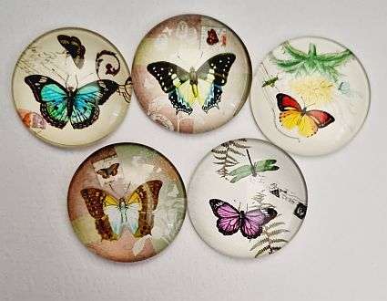 *Clearance Sale**5pc x 25mm  Mixed / Vintage Style / Butterflies / Round Glass Cabochon