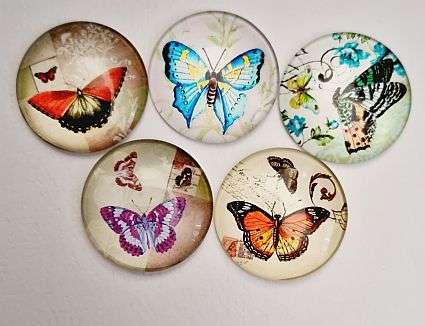 *Clearance Sale**5pc x 25mm  Mixed / Vintage Style / Butterflies / Round Glass Cabochon