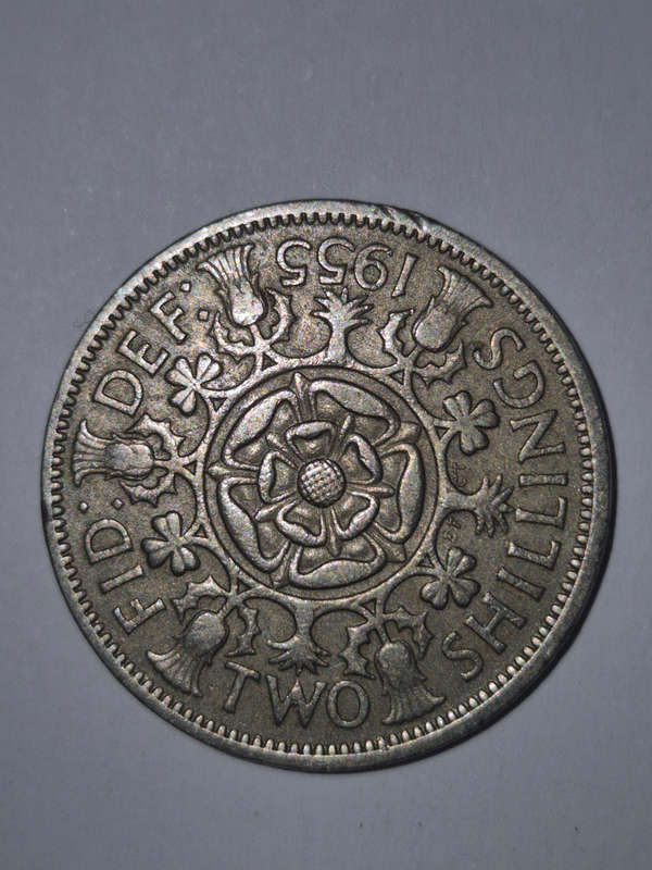 8×  coins.