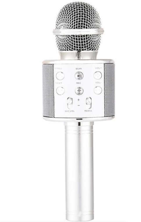 Wireless Microphone Karaoke Speaker For Smartphones - Silver