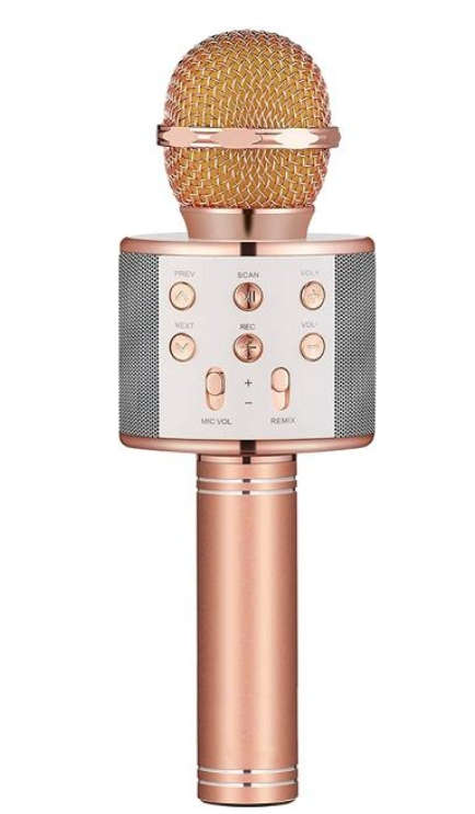 Wireless Microphone Karaoke Speaker For Smartphones - Gold