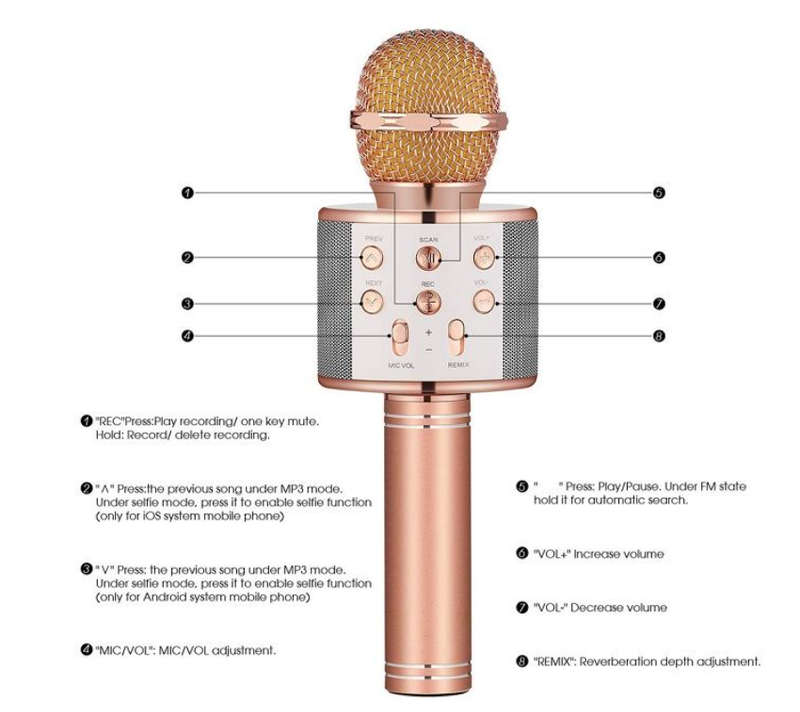 Wireless Microphone Karaoke Speaker For Smartphones - Gold