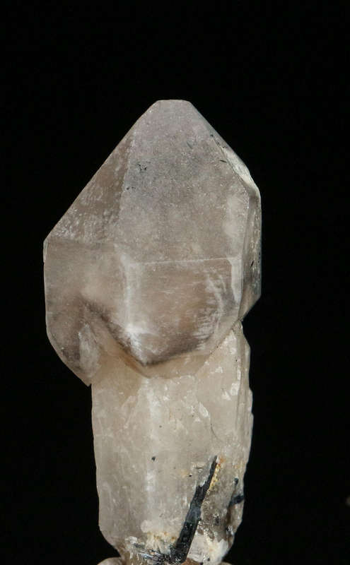 Schorl on Smoky Quartz Scepter, Erongo Mnt Region, Namibia