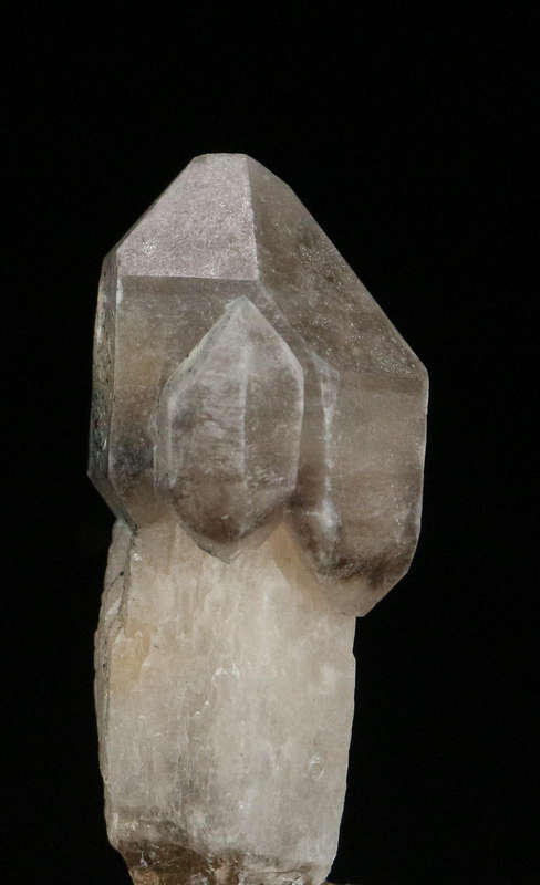Schorl on Smoky Quartz Scepter, Erongo Mnt Region, Namibia