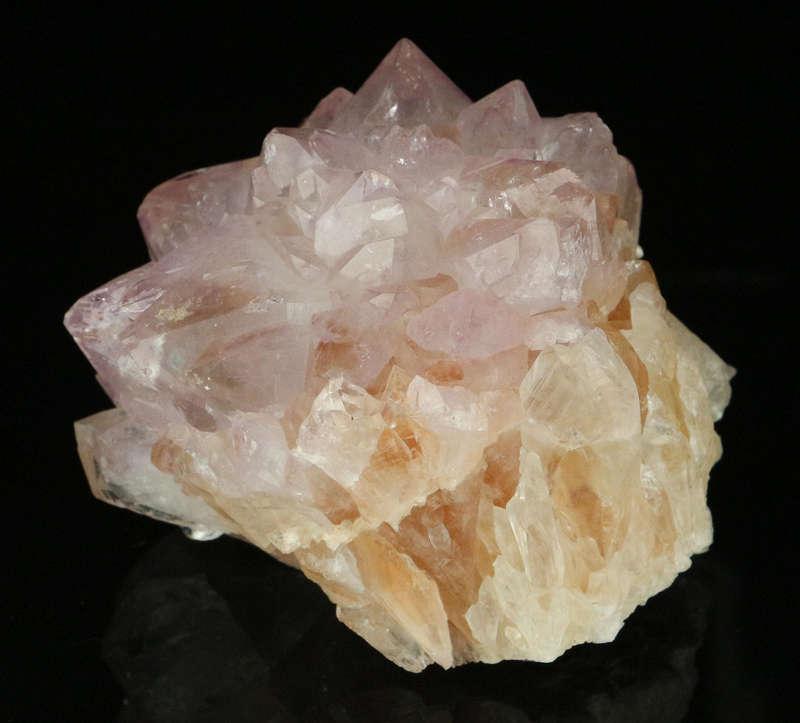 Amethyst Cactus Quartz, Boekenhouthoek, Mpumalanga, South Africa