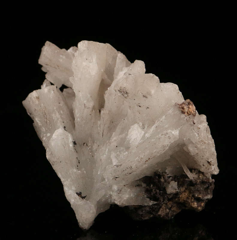 Celestine Spray, N'Chwaning III, Northern Cape, South Africa