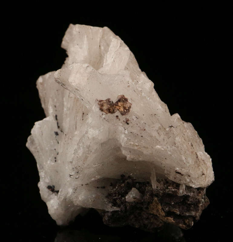 Celestine Spray, N'Chwaning III, Northern Cape, South Africa
