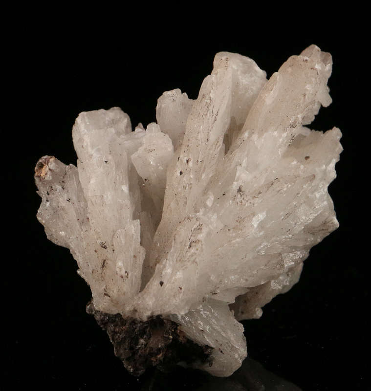 Celestine Spray, N'Chwaning III, Northern Cape, South Africa