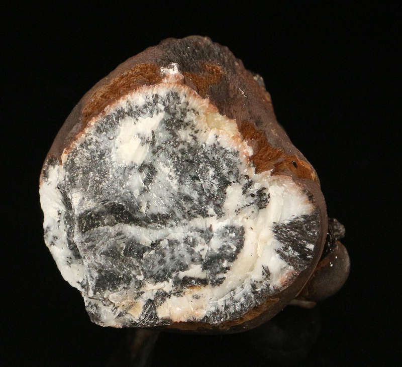 Goethite Cluster, "N'Chwaning II Mine, Kalahari Manganese Field, Northern Cape, South Africa "