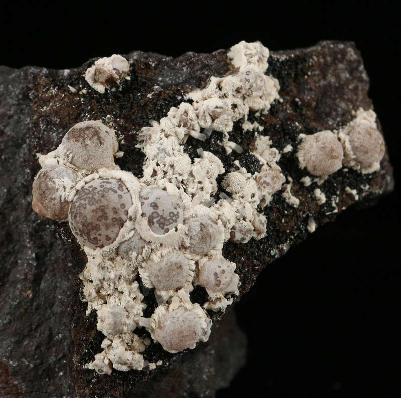 Rhodochrosite, Manganite on Matrix,"N'Chwaning I Mine, Kalahari Manganese Field, Northern Cape, Sout