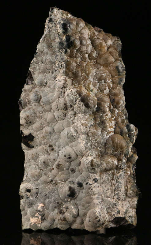Goethite on Small Cabinet Matrix,Gloria Mine, John Taolo Gaetsewe District Municipality, Northern Ca
