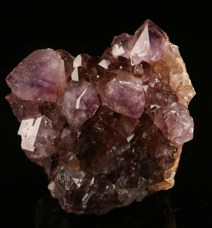 Amethyst/Smoky Cactus Quartz, Boekenhouthoek, South Africa