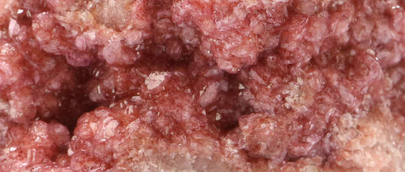 Cobaltoan Calcite on Matrix, Mashamba West Mine, DRC