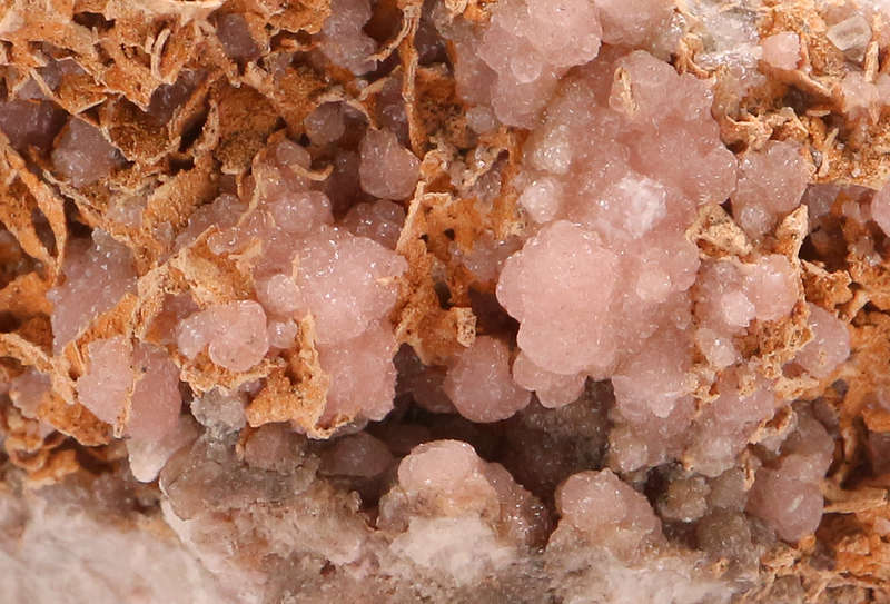 Rhodochrosite Cluster, N'Chwaning II, Northern Cape, South Africa