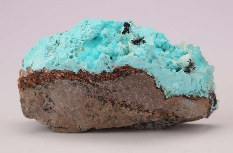 Chrysocolla on Matrix, Mashamba West Mine, DRC