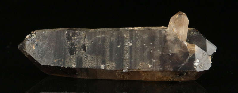 Smoky Quartz Floater, Zomba Mountains, Malawi