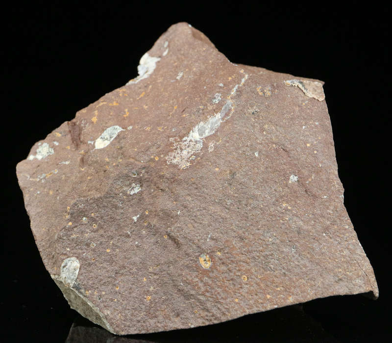 Amethyst Quartz on Matrix, Gobobosebberge Mnt, Namibia