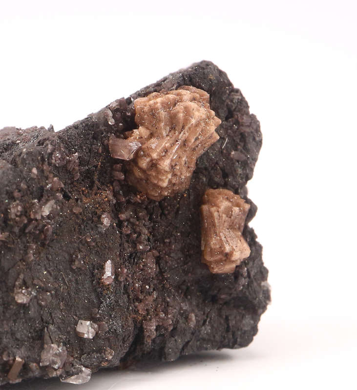 Olmiite on Matrix, N'Chwaning II, Northern Cape, South Africa