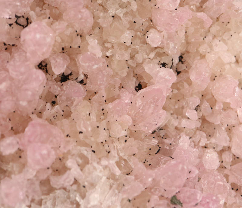 Cobaltoan Calcite on Matrix, Mashamba West Mine, DRC