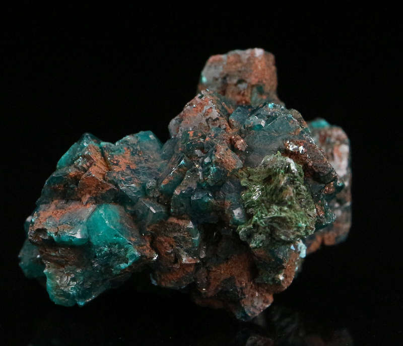 Dioptase Cluster, Tantara Mine, DRC