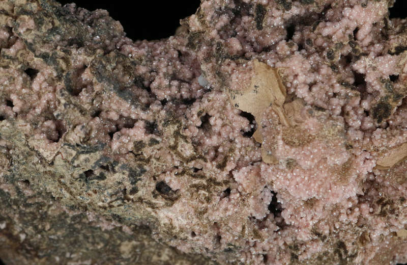 Rhodochrosite on Matrix,"N'Chwaning II Mine, Kalahari Manganese Field, Northern Cape, South Africa "