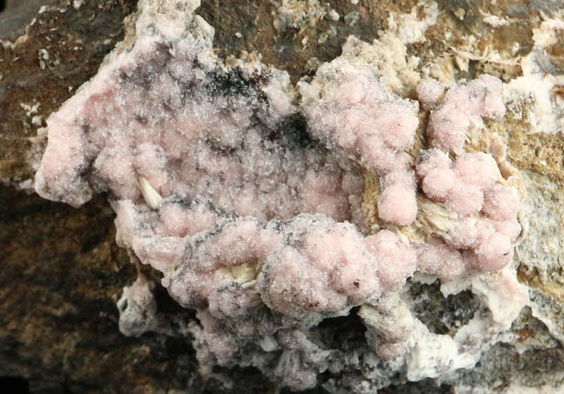 Rhodochrosite on Matrix,"N'Chwaning II Mine, Kalahari Manganese Field, Northern Cape, South Africa.