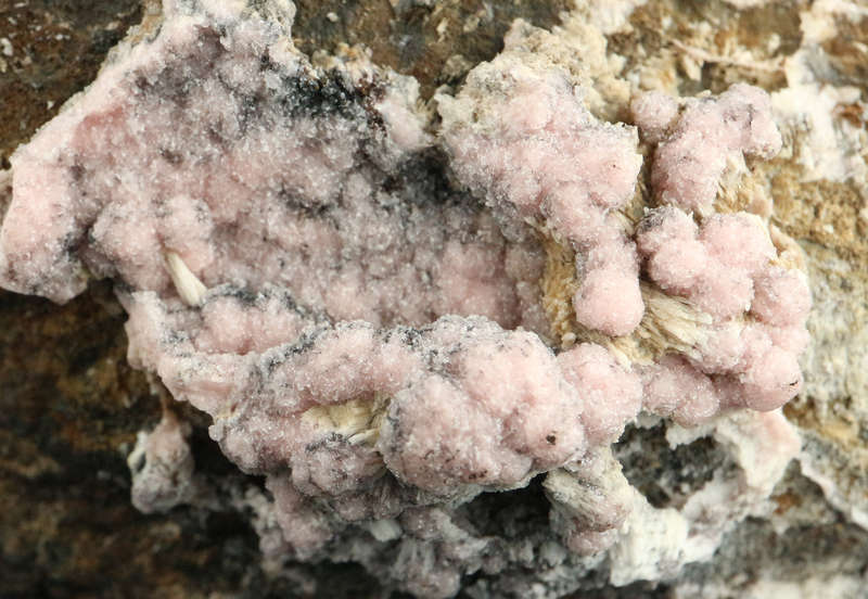Rhodochrosite on Matrix,"N'Chwaning II Mine, Kalahari Manganese Field, Northern Cape, South Africa.