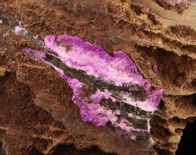 Sugilite on Matrix, "N'Chwaning III Mine, Kalahari Manganese Field, Northern Cape, South Africa "