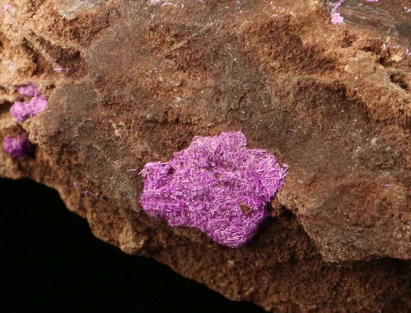 Sugilite on Matrix, "N'Chwaning III Mine, Kalahari Manganese Field, Northern Cape, South Africa "