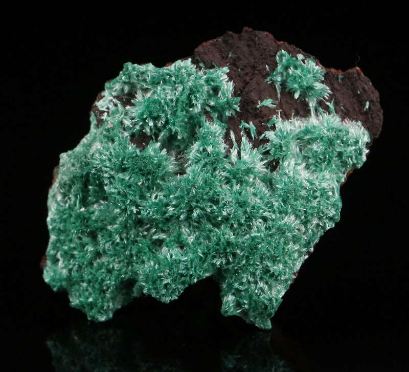 Malachite on Matrix, Skorpion Mine, Karas Region, Namibia