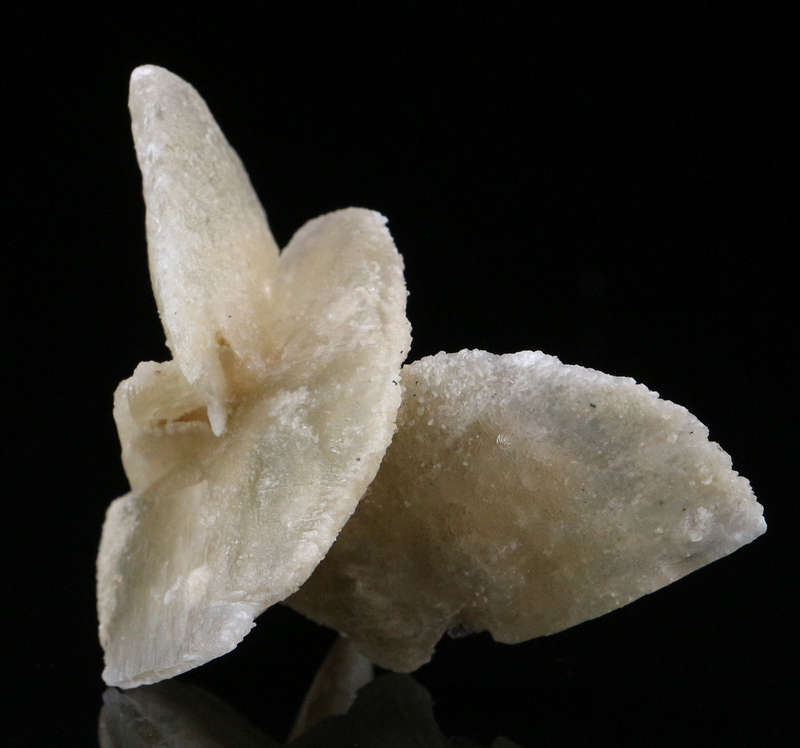 Desert Rose, Namibia